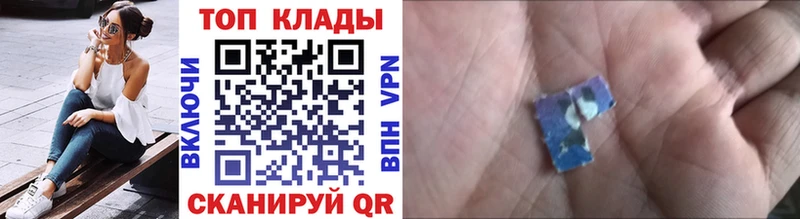 А ПВП Павловская