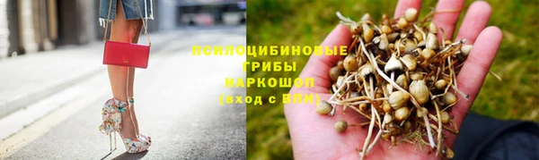MESCALINE Аркадак