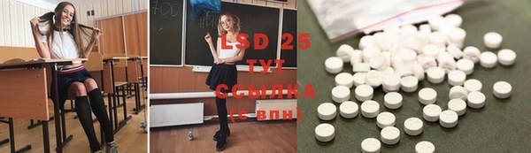 MESCALINE Аркадак