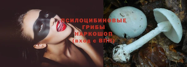 mdpv Арсеньев