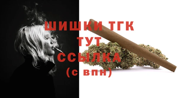гидра Армянск