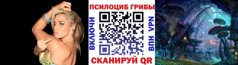 Галлюциногенные грибы Psilocybe  Павловская 